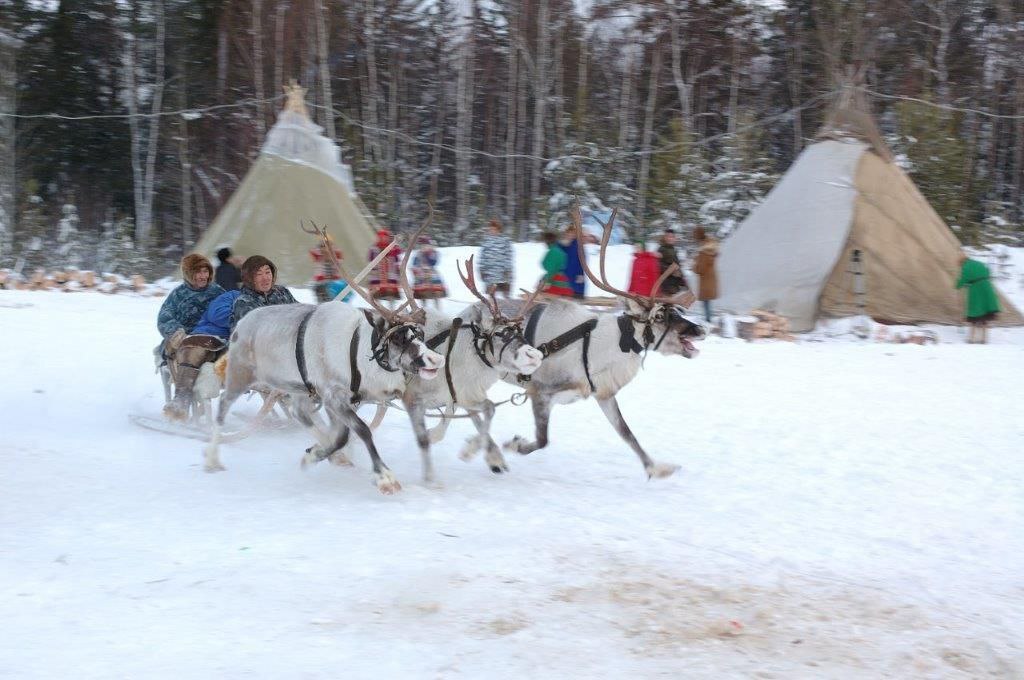 Изображения