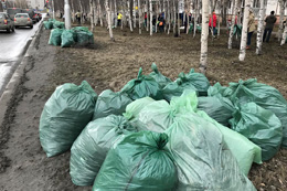 Изображения