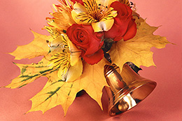 Изображения