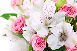 Изображения