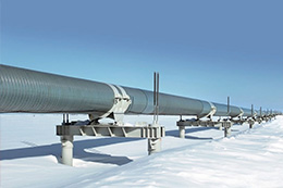 Изображения