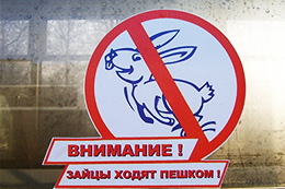 Изображения