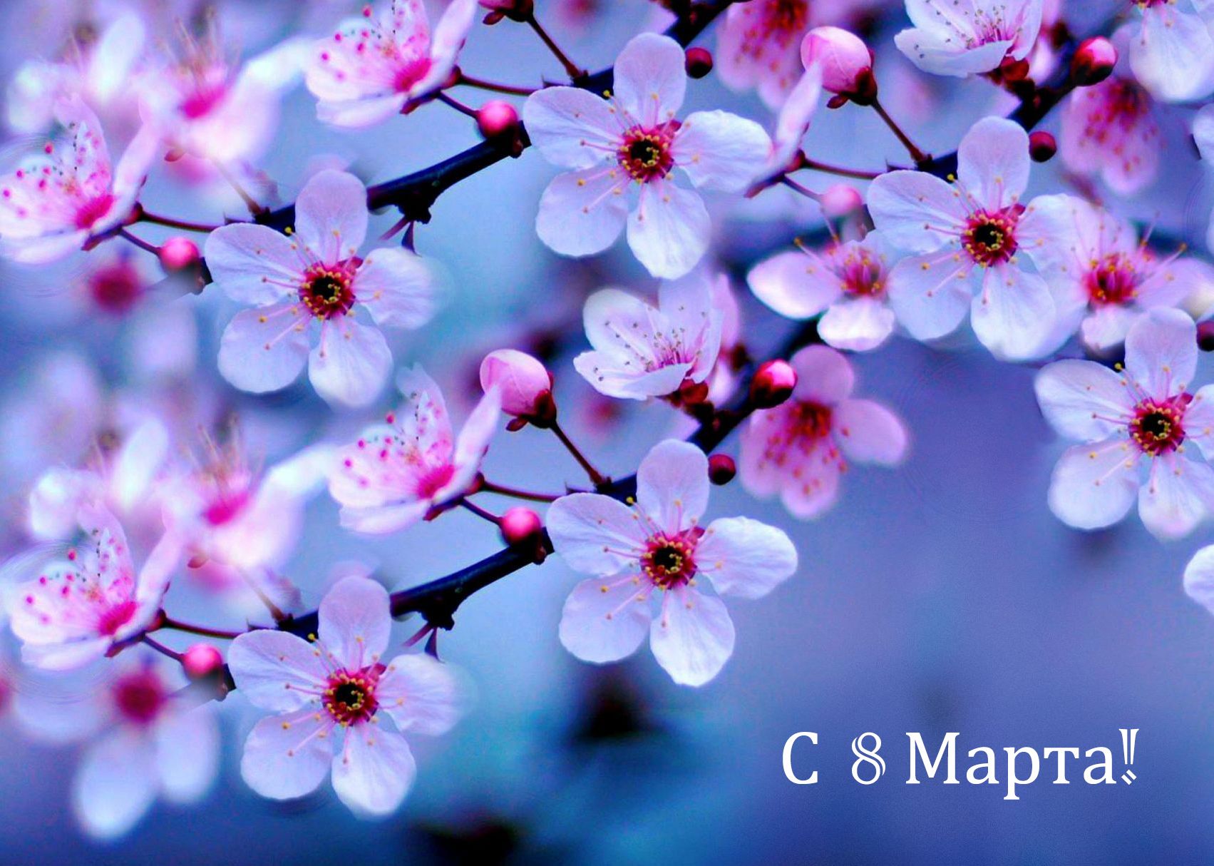 Изображения