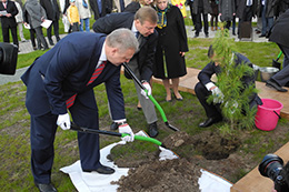 Изображения