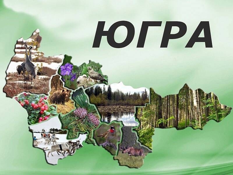 Изображения