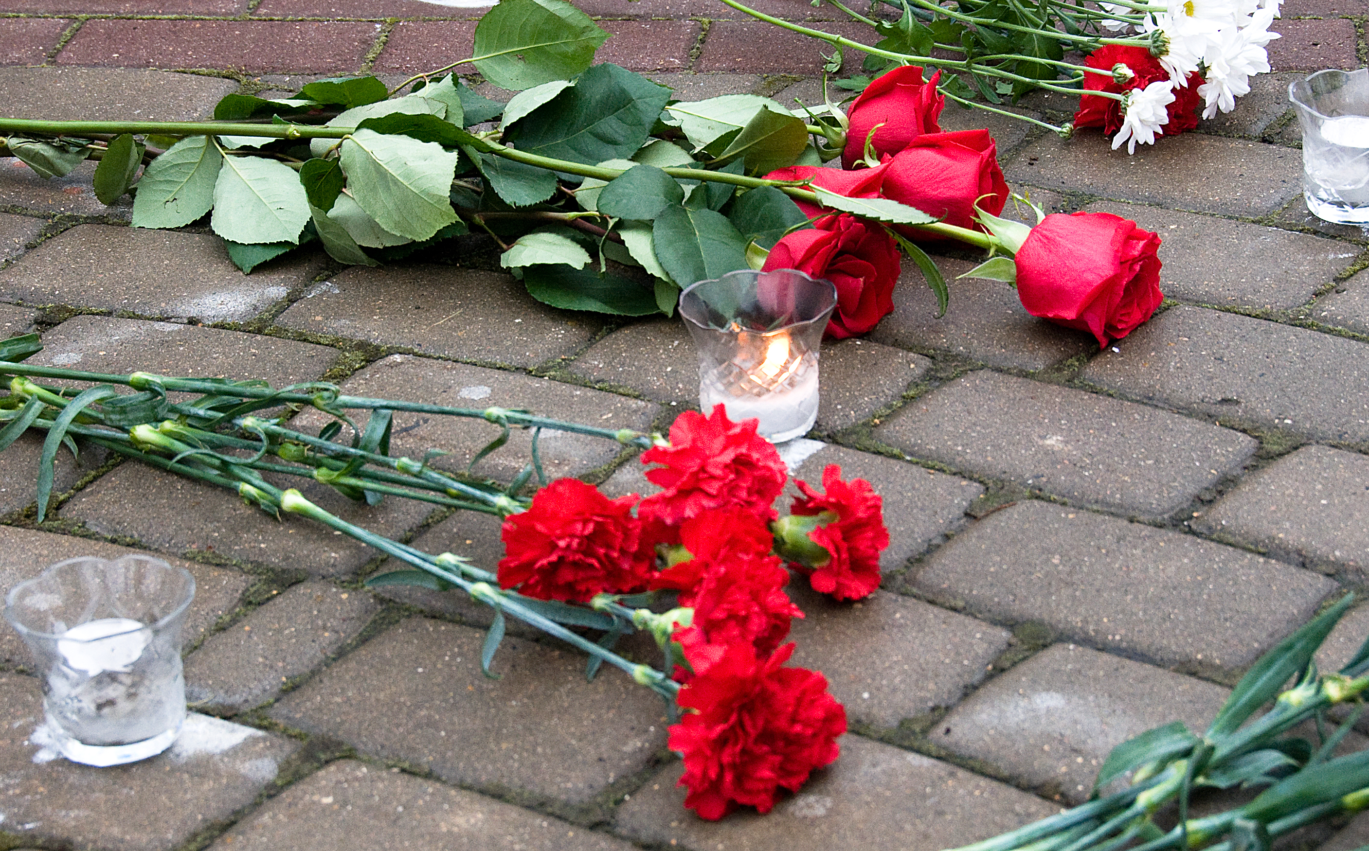 Изображения