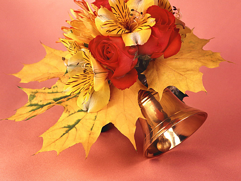 Изображения