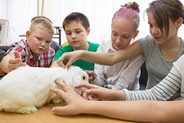 Изображения