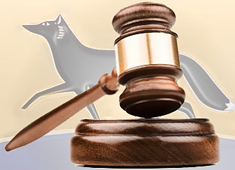 Изображения