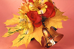 Изображения